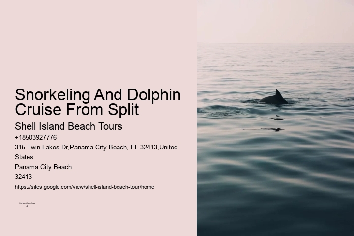 Dolphin And Snorkeling Combo Tours Departing From Split
