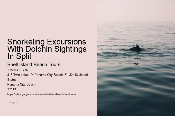 Split Expert-guided Dolphin And Snorkeling Tours