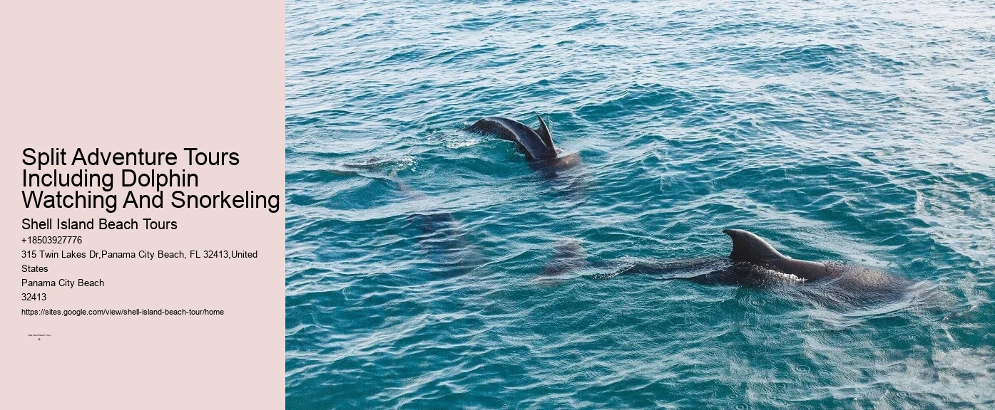 Dolphin watching trips at Panama City Beach