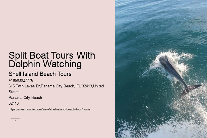 What type of dolphin species might we encounter on the tour