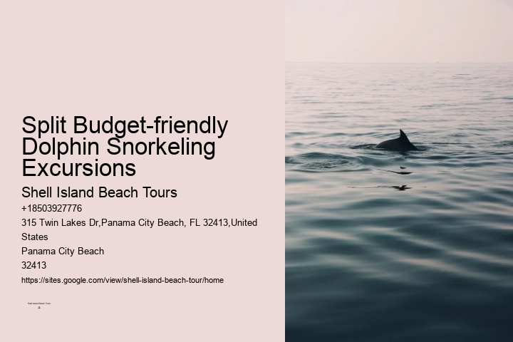 What Is The Most Friendly Dolphin In The World