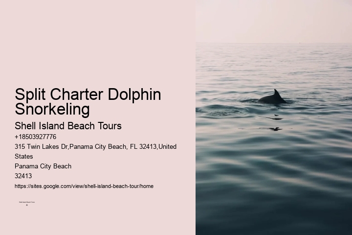Why Can't You Touch Dolphins