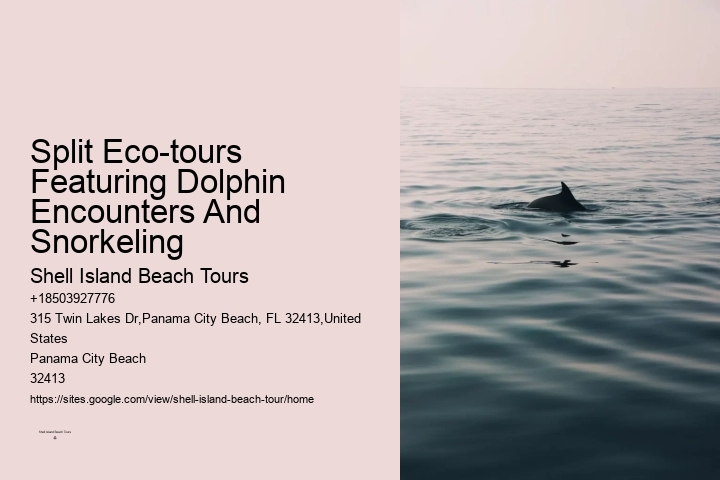 Dolphin Boat Trips PCB