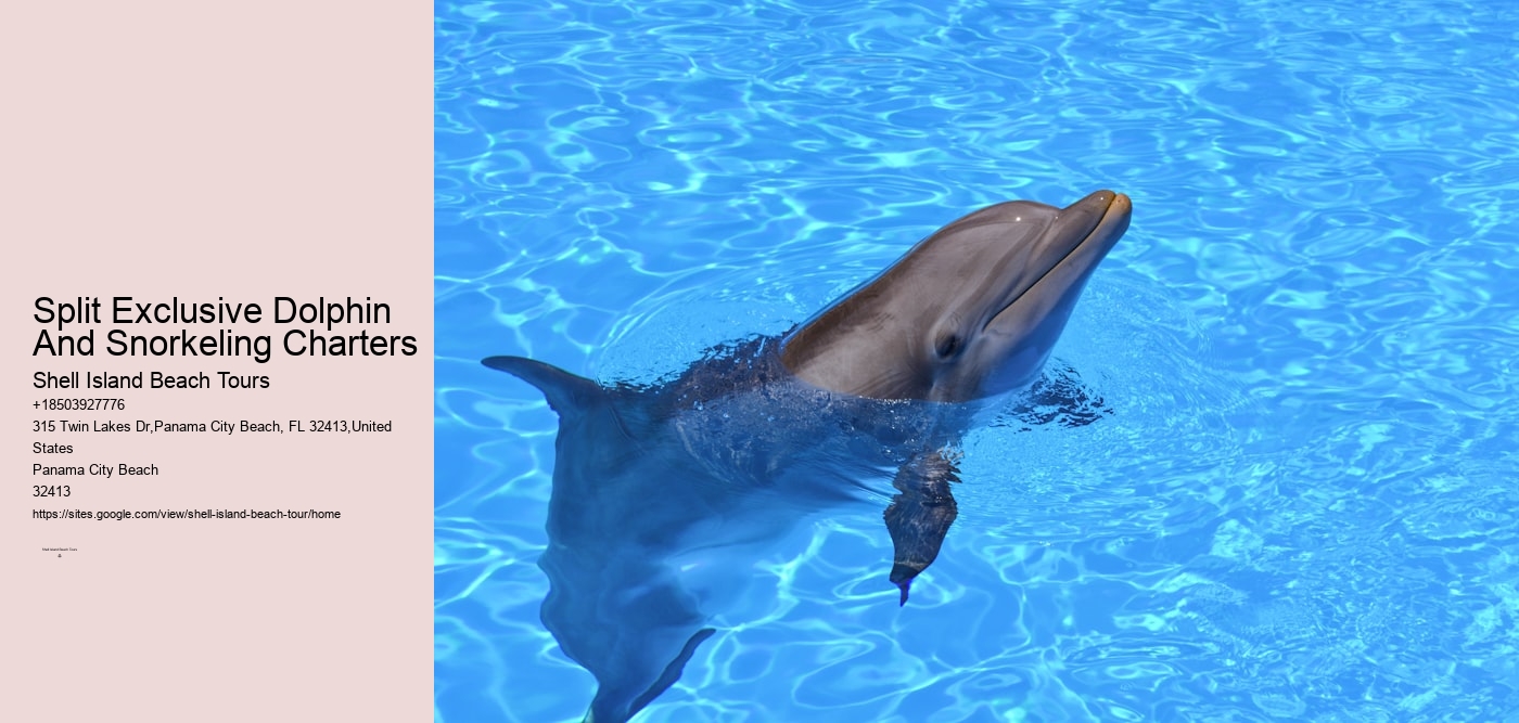 Split Exclusive Dolphin And Snorkeling Charters