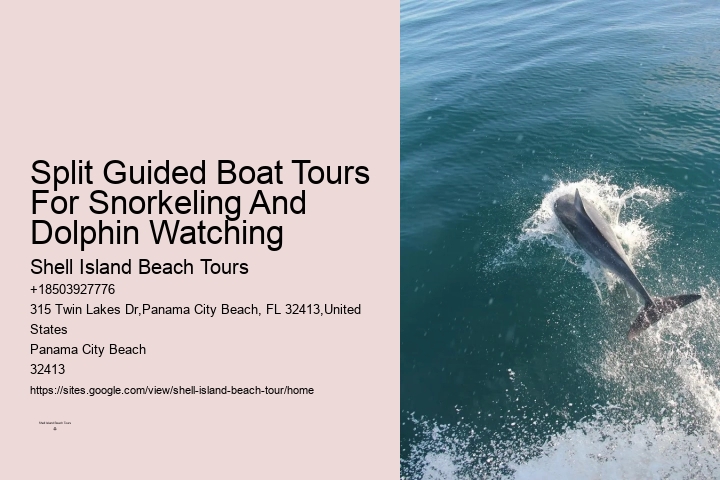 Split Catamaran Dolphin Watching And Snorkeling Expeditions