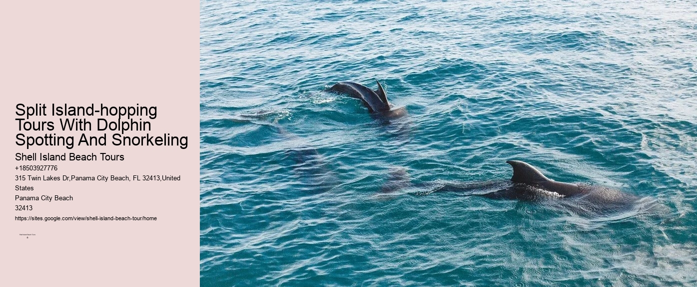 Panama City Dolphin Seafari Tours Panama City Beach Fl