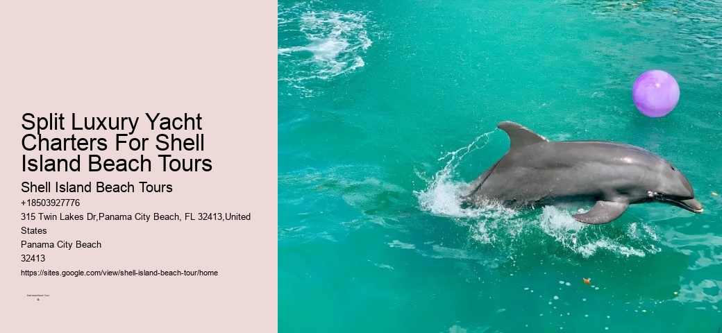 Panama City Beach dolphin discovery cruises