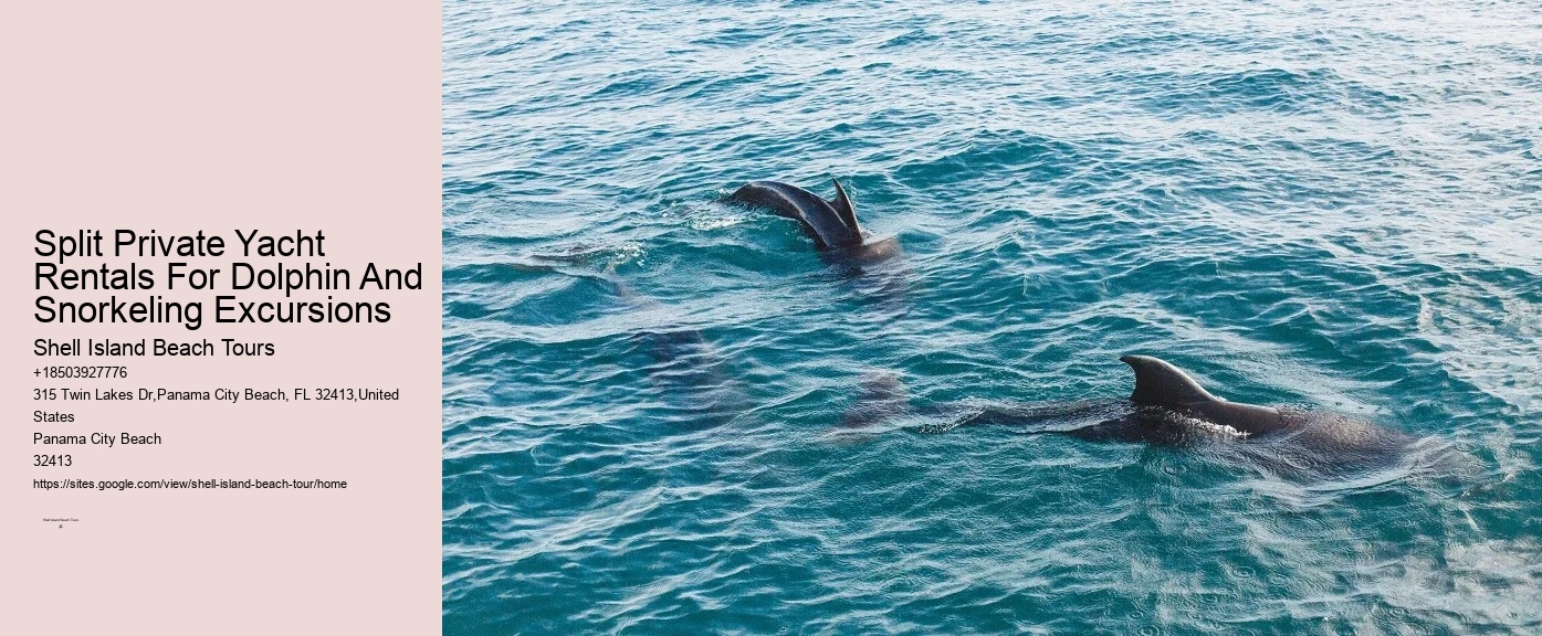 Are Panama City Beach dolphin tours environmentally friendly