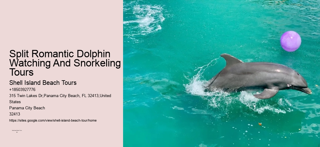 Split Educational Dolphin And Snorkeling Tours