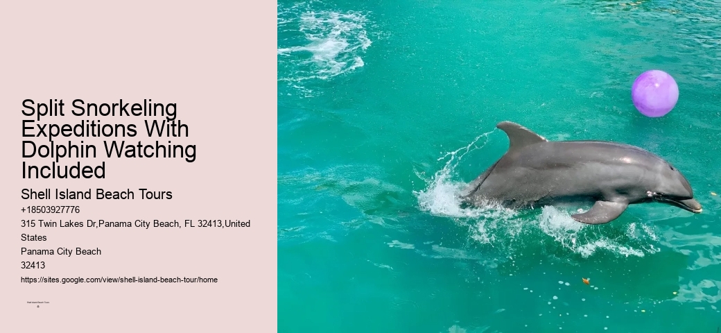 Do You Get Wet On A Dolphin Cruise