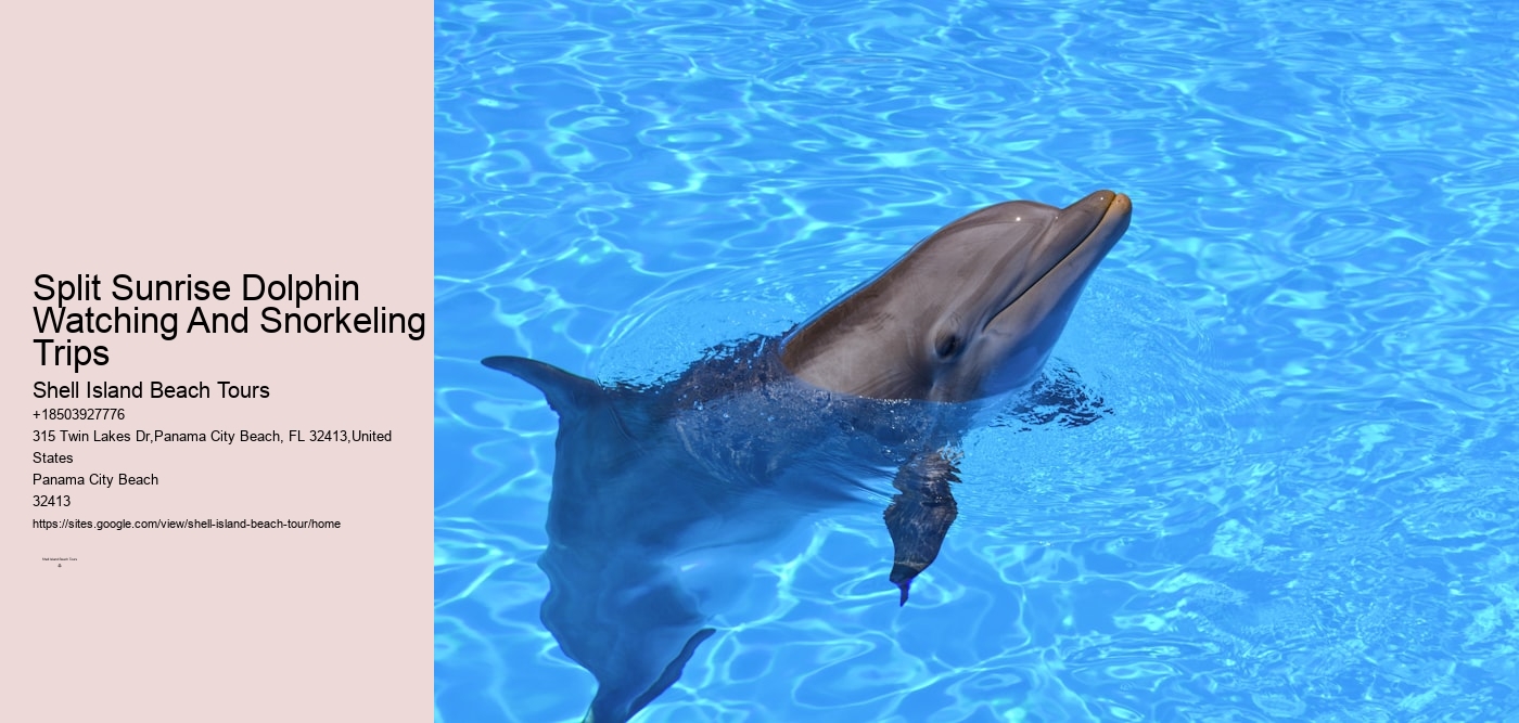 Split Sunrise Dolphin Watching And Snorkeling Trips