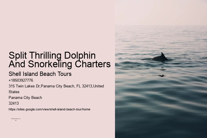 Dolphin Express