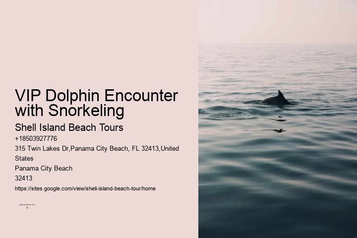 Dolphin Excursions Snorkel Adventure