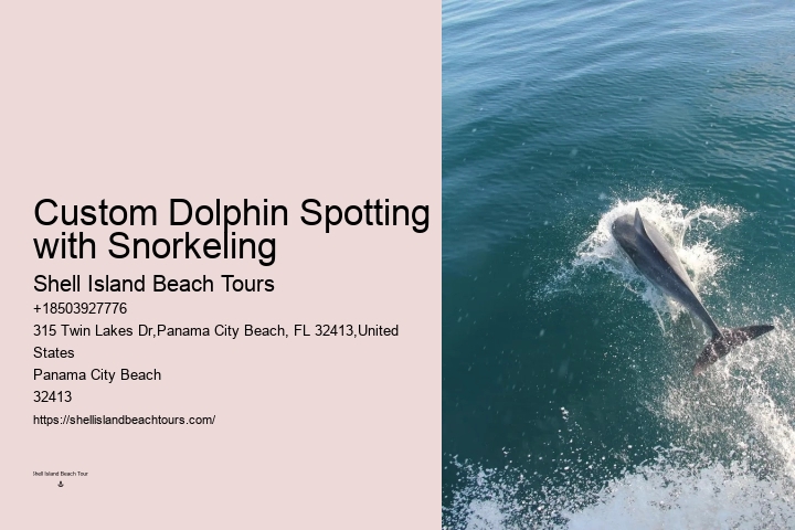 Before Your Tour - Dolphin Encounter