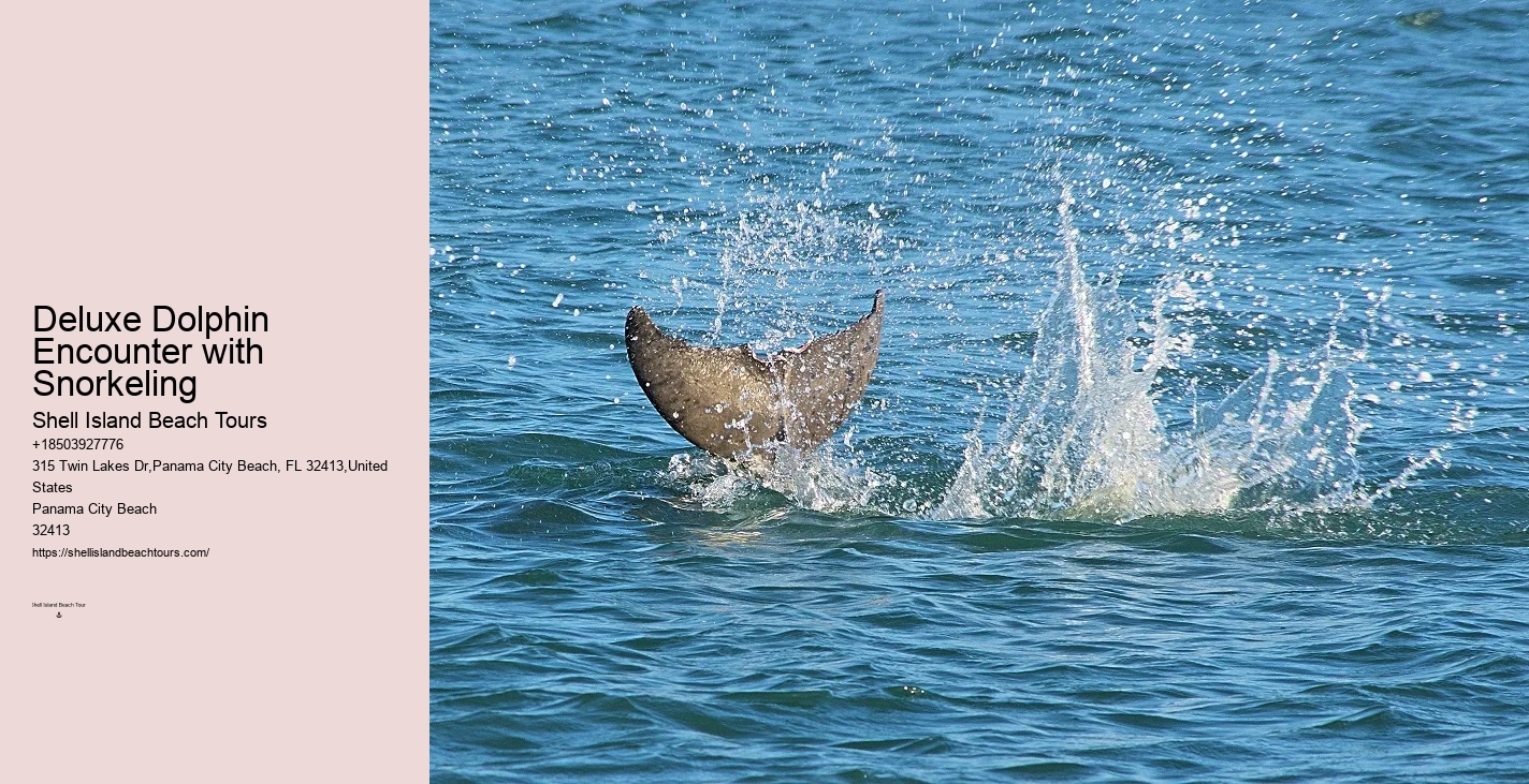 Dolphin-safe Ways To Protect Yourself From The Sun