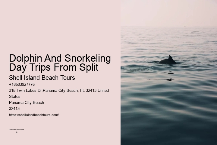 Split Island-hopping Tours With Dolphin Spotting And Snorkeling