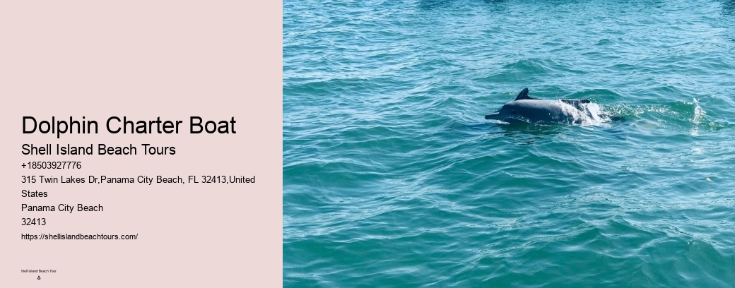 Dolphin Charter Boat