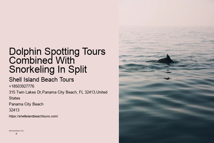 Split Speedboat Tours For Dolphin Spotting And Snorkeling