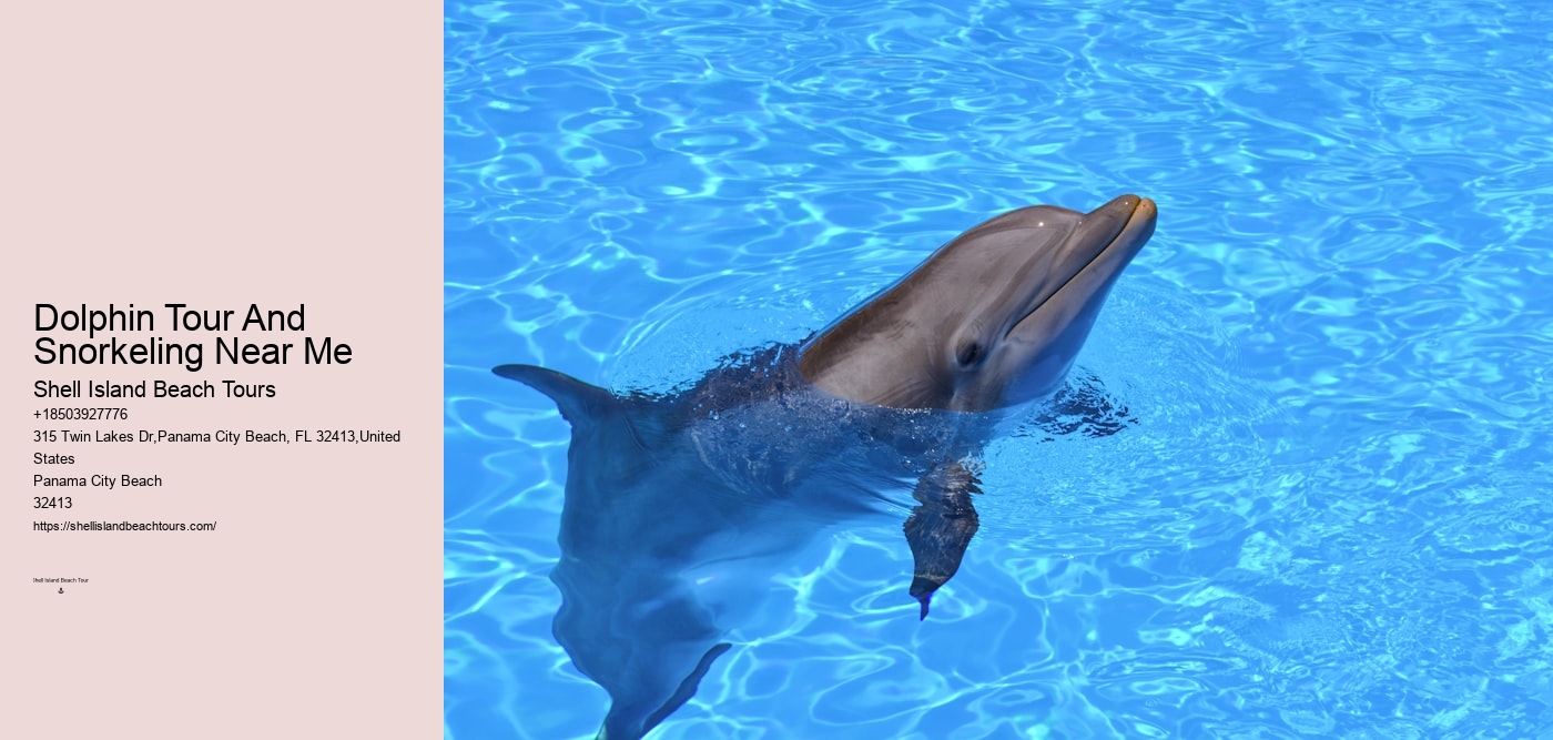 Dolphin Tour And Snorkeling Near Me