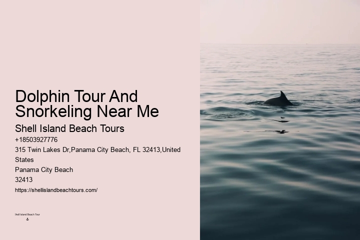 Panama City Beach Sunset Dolphin Cruise