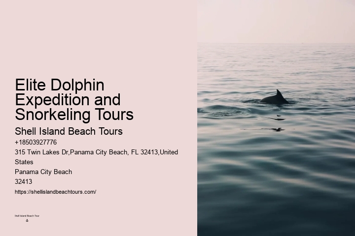 Secluded Dolphin Spotting with Snorkeling