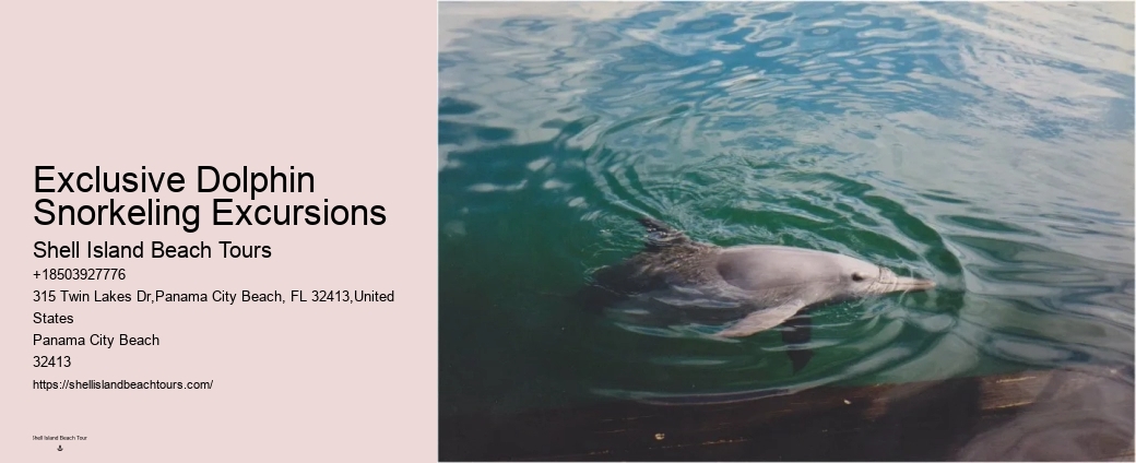Can I swim with dolphins on a tour in Panama City Beach