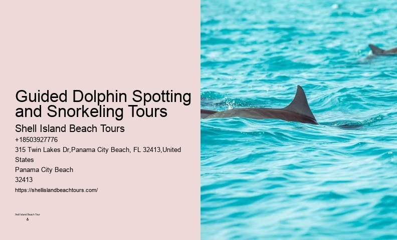 VIP Dolphin Encounter with Snorkeling