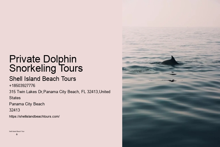 Bespoke Dolphin Encounter with Snorkeling