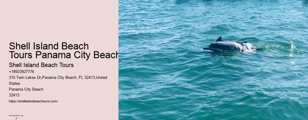 Shell Island Beach Tours Panama City Beach