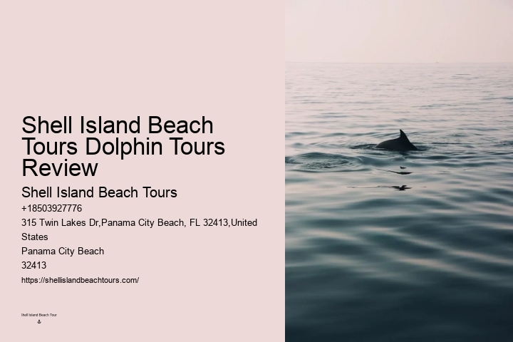 Personal Dolphin Watching with Snorkeling