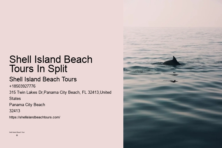 Dolphin Sightseeing Cruises in PCB