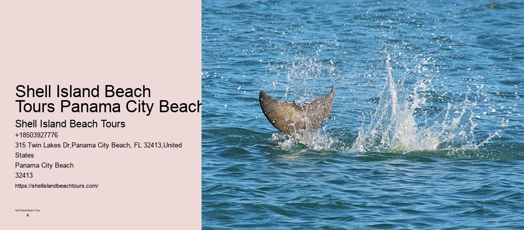 What Is The Life Expectancy Of A Dolphin In Captivity