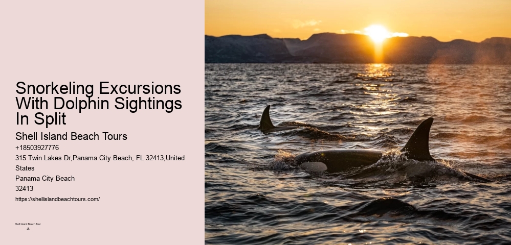 Sweet Sunsets And Dolphin Tours