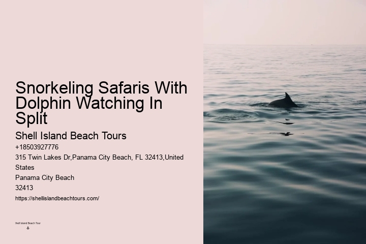 Dolphin Tours 30a
