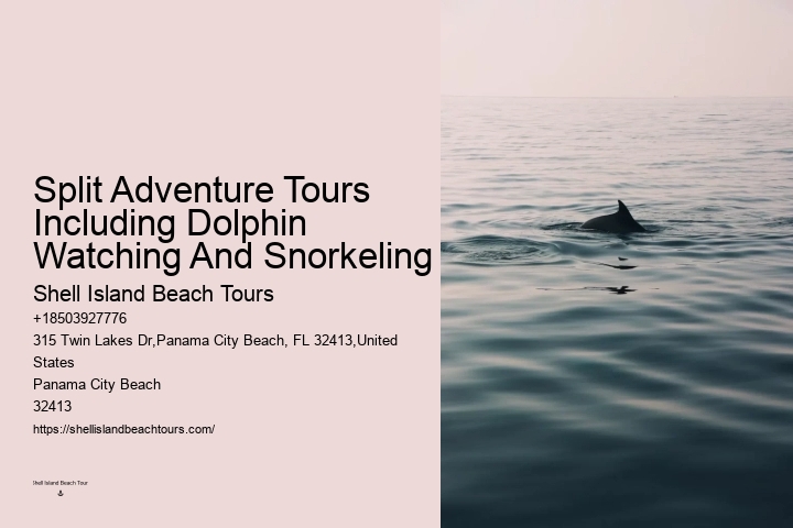 Panama City Beach Dolphin And Snorkel Tours