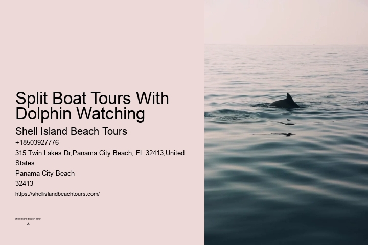 Dolphin Watch 30a