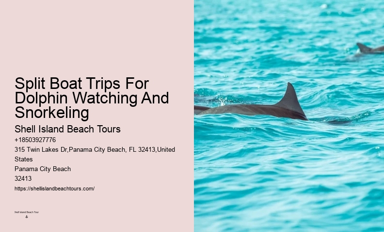 Panama City Beach Dolphin Tours Prices