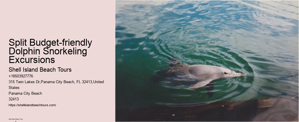 Split Private Yacht Rentals For Dolphin And Snorkeling Excursions
