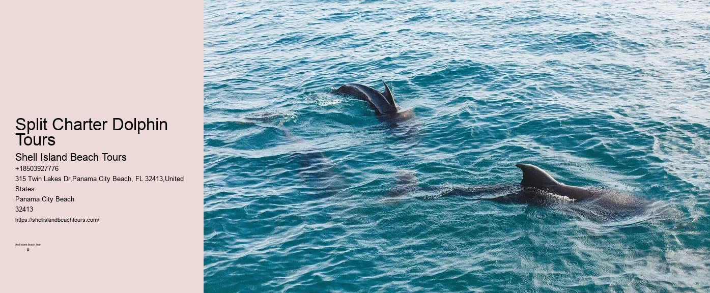Are You Not Supposed To Touch Dolphins