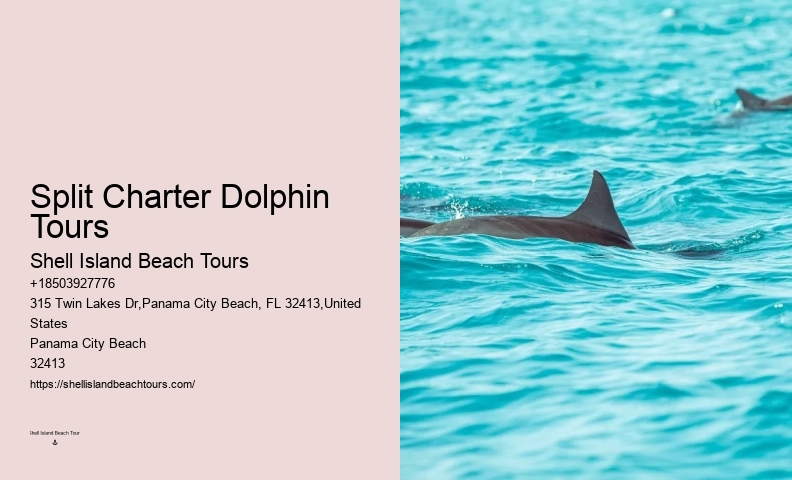 Are Dolphin Tours Humane