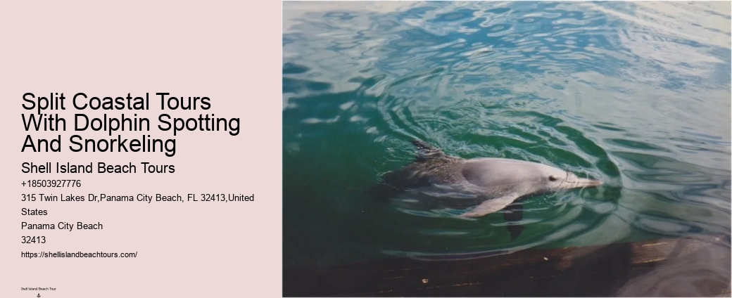 Split Snorkeling And Dolphin Sightseeing Expeditions