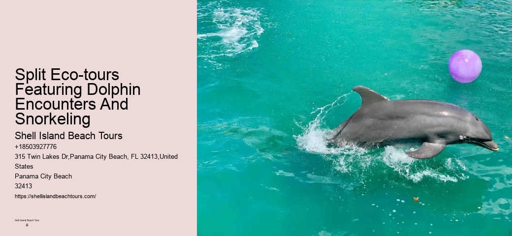 Split Small-group Dolphin And Snorkel Excursions