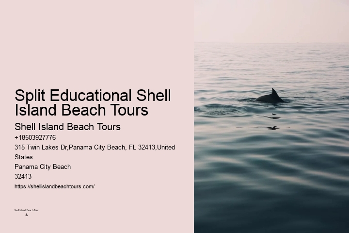 Passage Key Dolphin Tours