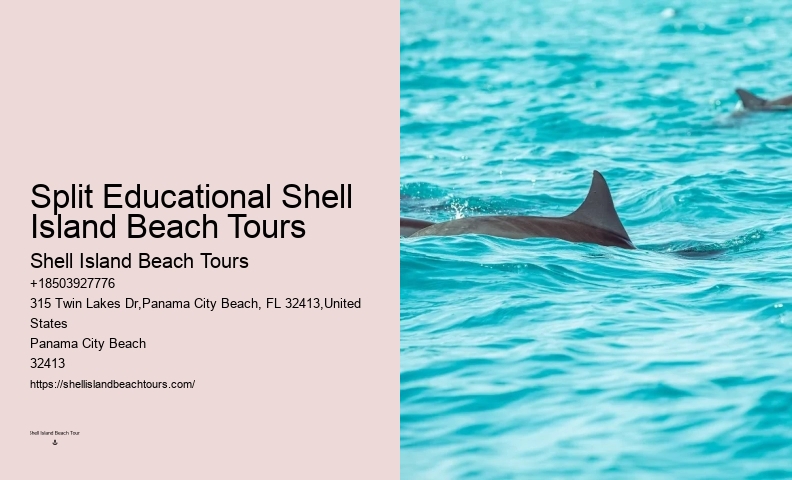 Dolphin Watch 8 Tybee Island