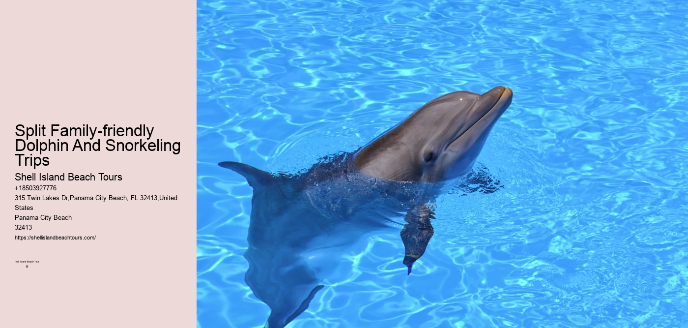 Split Family-friendly Dolphin And Snorkeling Trips
