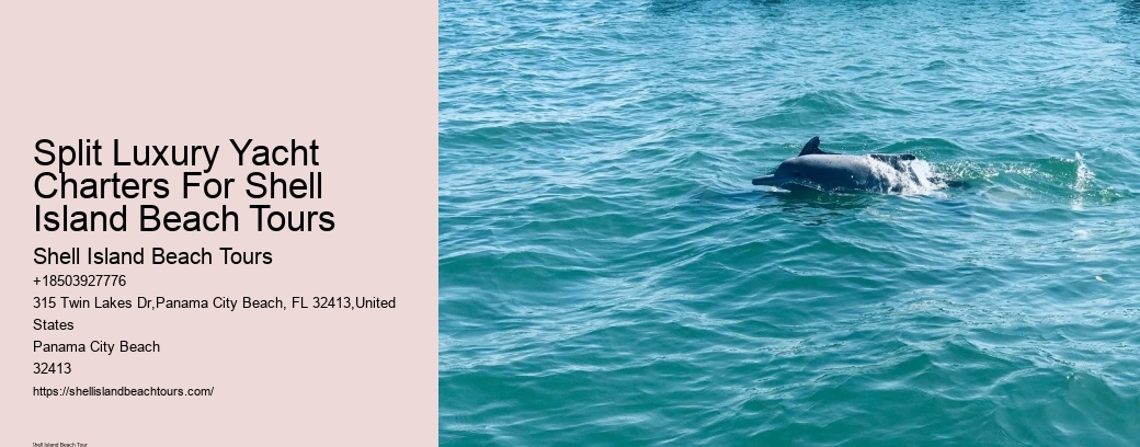 Split Luxury Yacht Charters For Shell Island Beach Tours