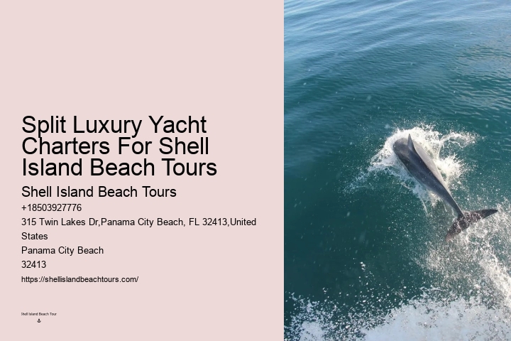 Dolphin Tours Near Me