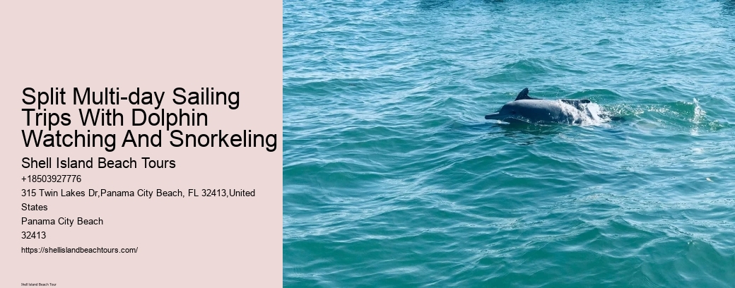 Split Multi-day Sailing Trips With Dolphin Watching And Snorkeling