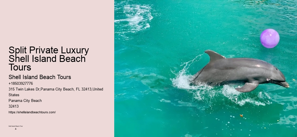 Split Boutique Dolphin And Snorkeling Experiences