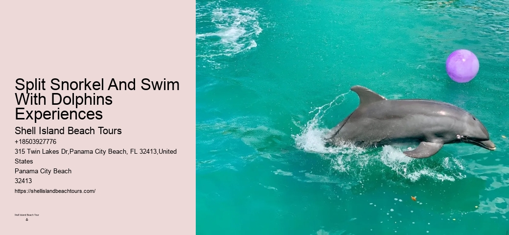 Split Ultimate Dolphin And Snorkeling Expeditions
